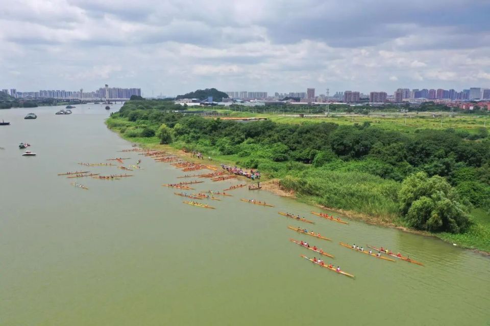 拼搏进取的, 欢呼声